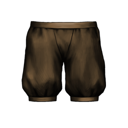 Adept Pants — Arcane Quest Legends